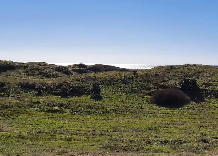 Appartement T2 Cozy Face Dunes Et Ocean - Thalasso Et Golf