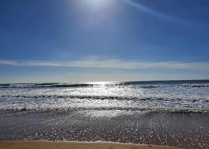 T2 Cozy Face Dunes Et Ocean - Thalasso Et Golf