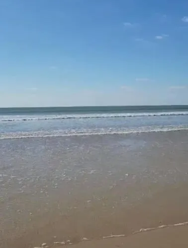 T2 Cozy Face Dunes Et Ocean - Thalasso Et Golf Appartement