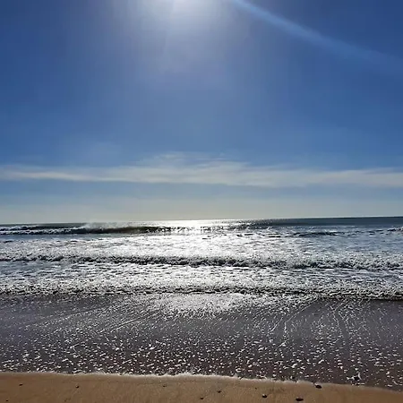 T2 Face Dunes Et Ocean - Proche Golf Et Thalassothérapie