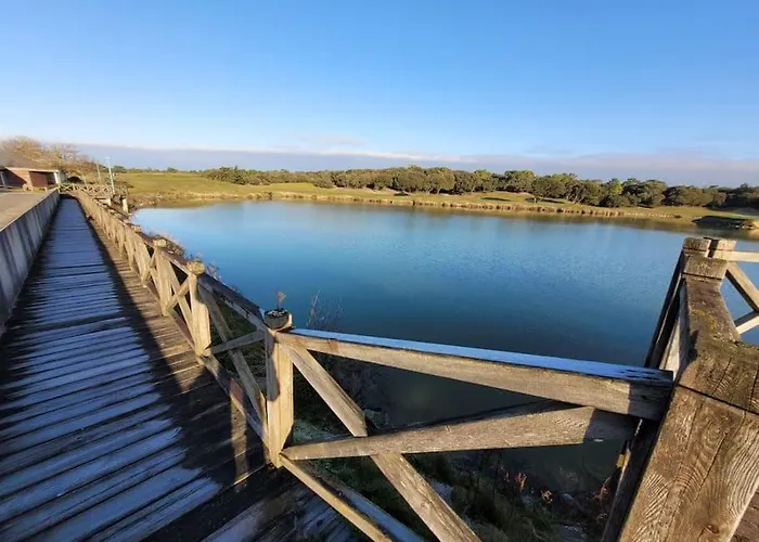 T2 Cozy Face Dunes Et Ocean - Thalasso Et Golf 아파트 생장드몽